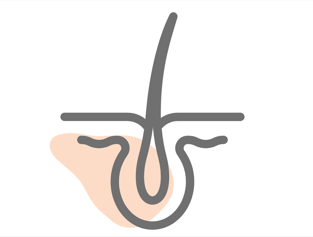 icon for Coat