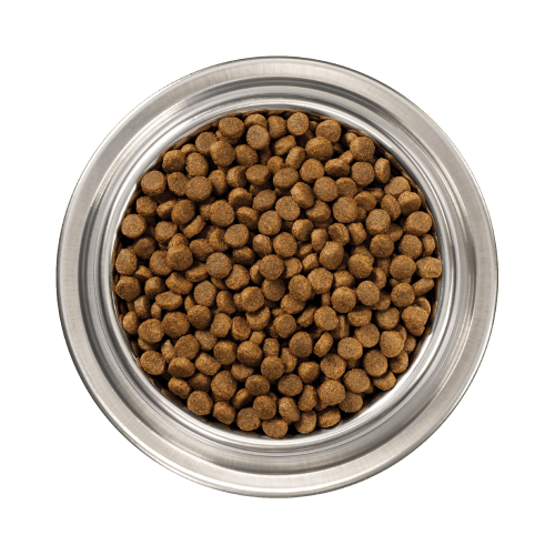 Raw Coated Kibble