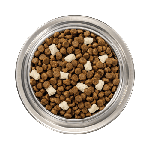 Raw + Kibble