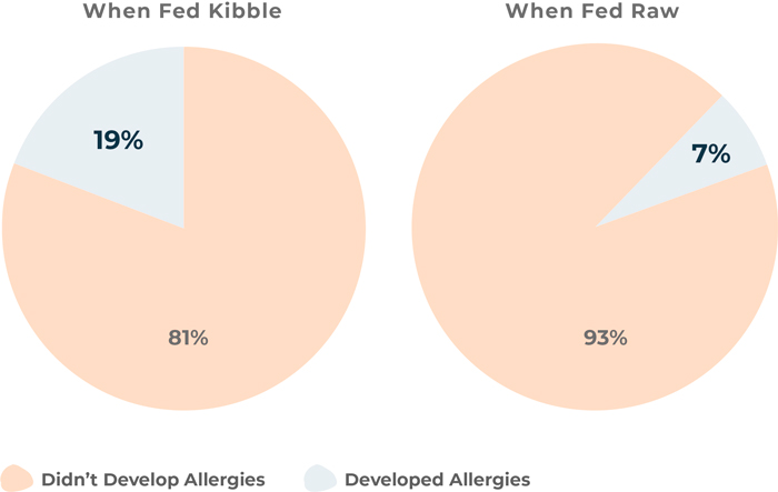 Allergy Pie Charts